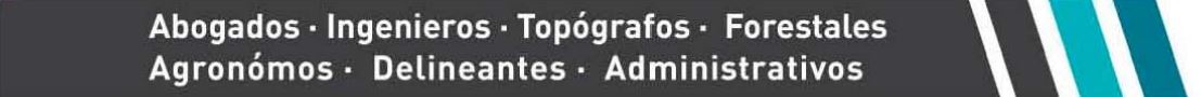 Abogados - Ingenieros - Top&oacute;grafos - Forestales